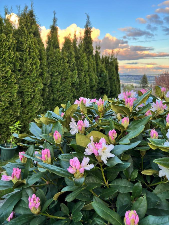 Lovely J Home -Stunning River View Cozy Two Bedroom Private Suite New Westminster Buitenkant foto